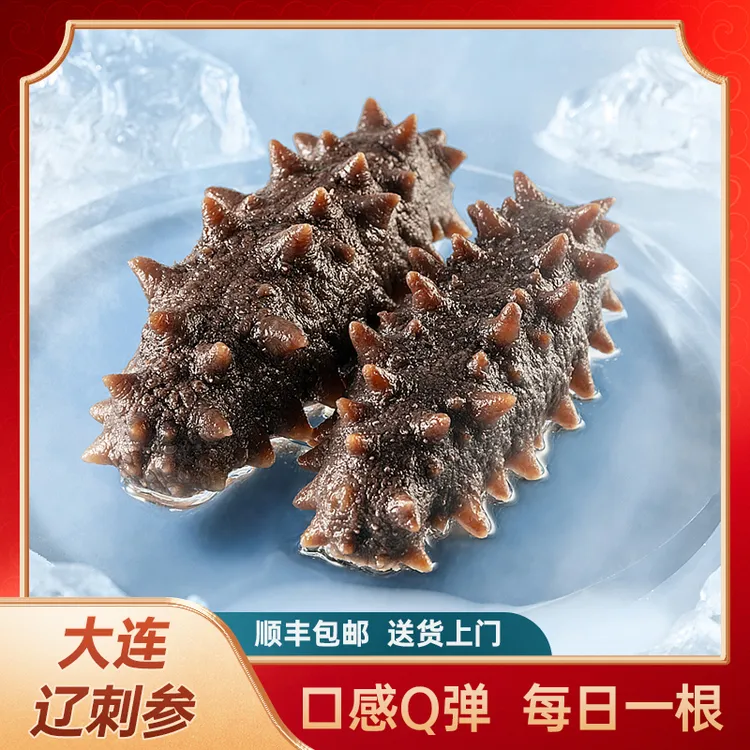 大连鲜食海参500g即食海参【顺丰包邮】底播辽刺参口感劲道 不挂冰