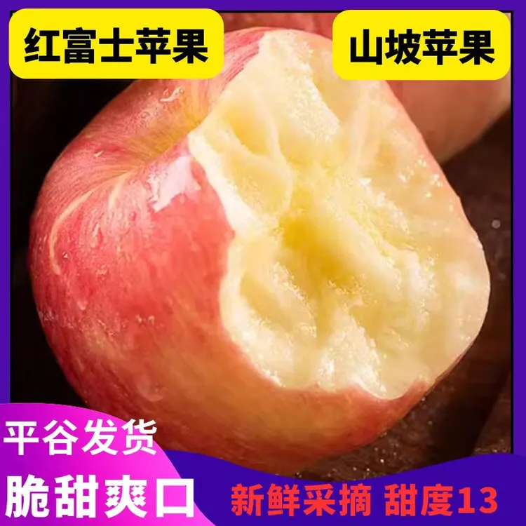 北京平谷山坡红富士苹果24年新下树平谷新鲜农产品脆甜多汁甜度13