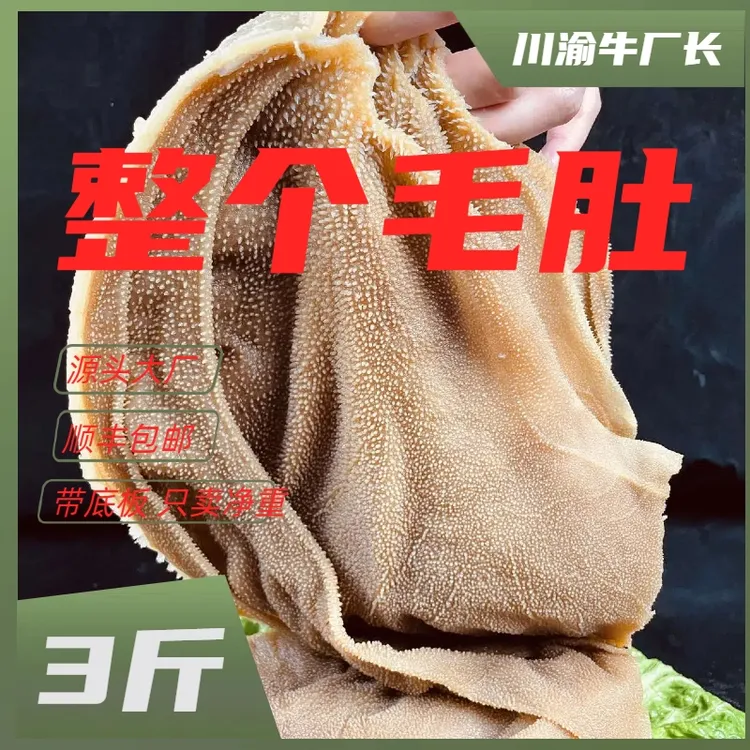 黑毛肚整个牛百叶整肚脆爽火锅3斤新鲜冷藏 固形物含量90%以上