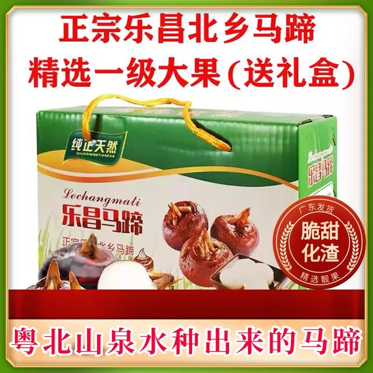 乐昌北乡马蹄新鲜荸荠水果农家马蹄果超甜5-9斤批发包邮火锅食材