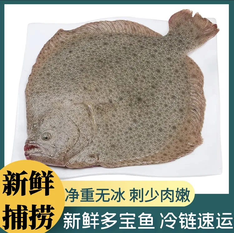 新鲜多宝鱼鲜活大速冻冷冻大比目鱼偏口鱼八宝鱼左口鱼扁口鱼鲽鱼