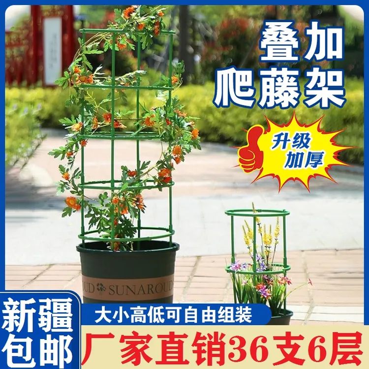 【全国包邮】花架支架支撑圈自由拼接组装防倒伏大小爬藤架绿植园艺商品图