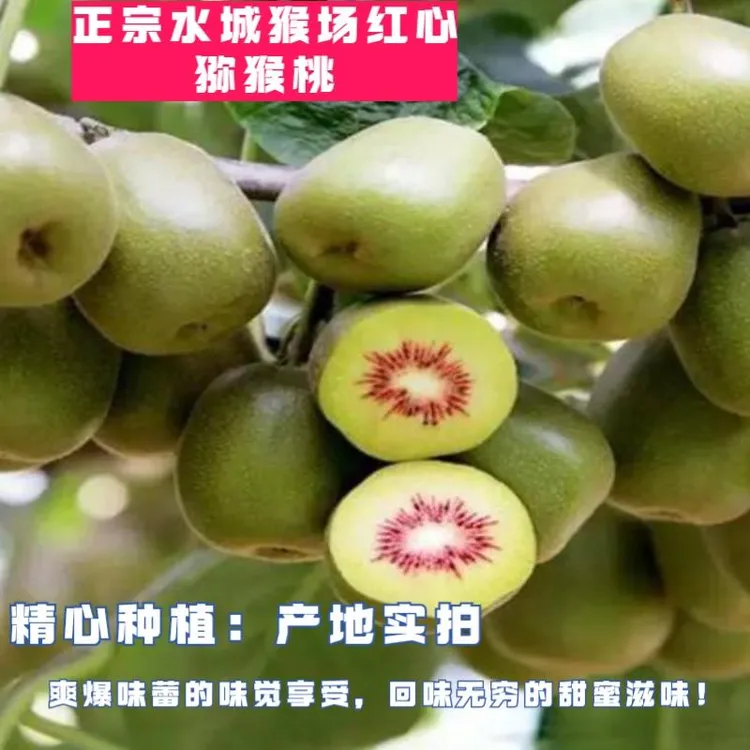 水城猴场红心猕猴桃15枚装1kg左右>