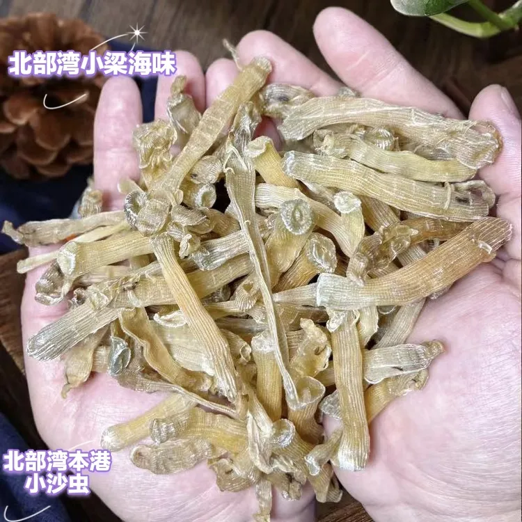 北海沙虫干批发广西特产海肠新鲜沙虫干货中小海肠子自晒宝宝煮粥