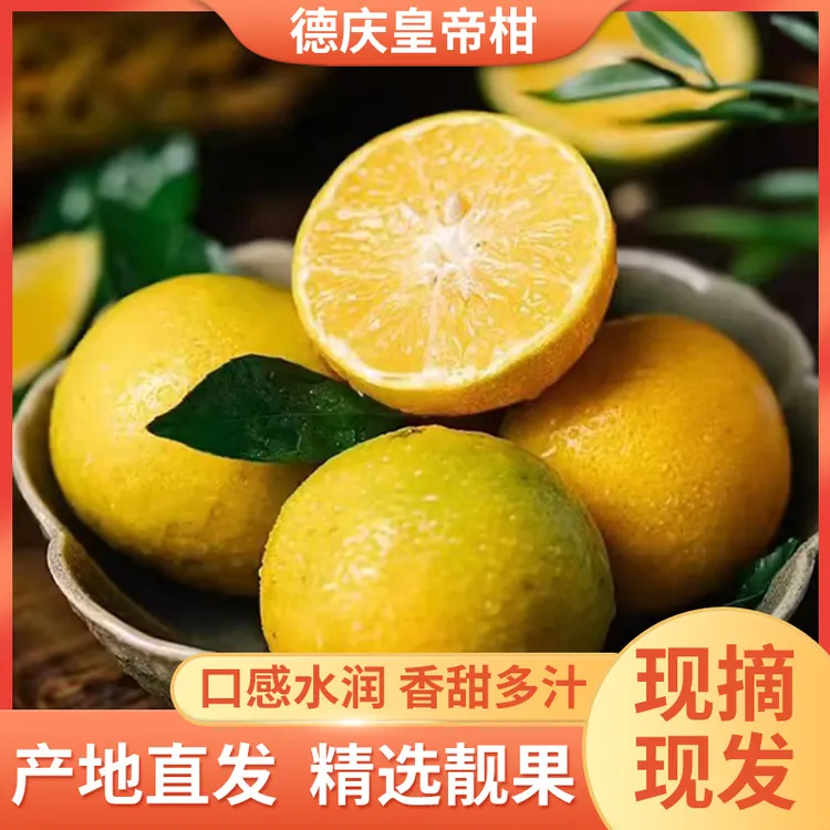 正宗广东德庆贡柑皇帝柑地理标志产品现摘礼盒装非赣南脐橙