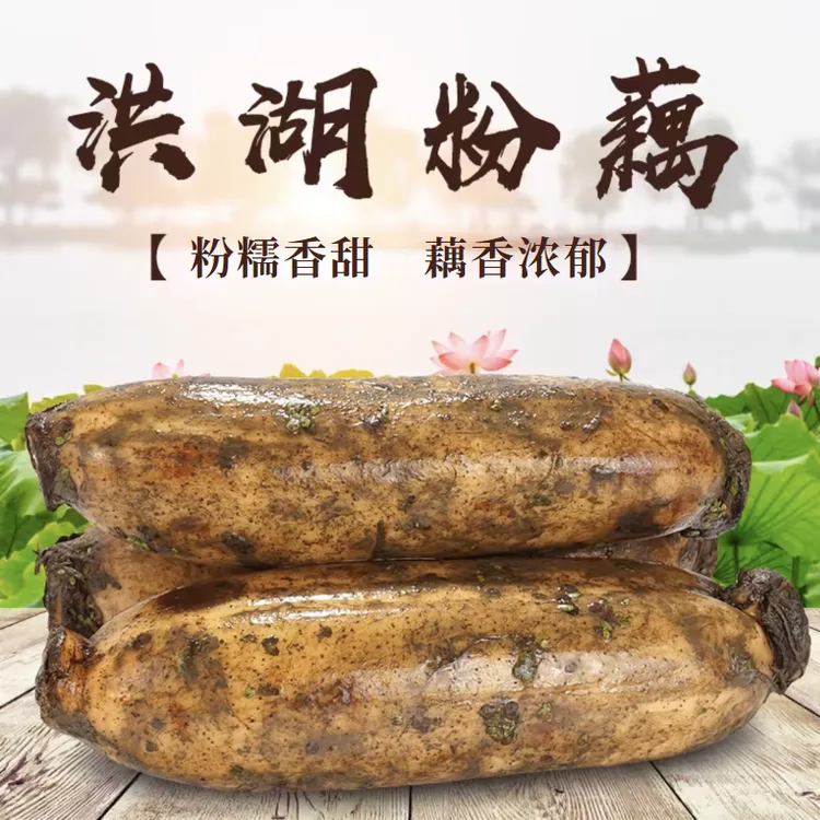 【顺丰包邮】洪湖粉藕新鲜莲藕现挖现发煲汤粉藕面藕湖北洪湖特产