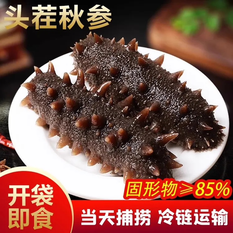 即食海参好品质新鲜产地源头即食优质海参500克营养天然老少皆宜