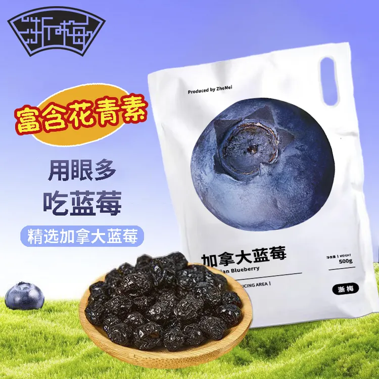 浙梅加拿大蓝莓干500g酸甜可口营养自营零食蜜饯果干