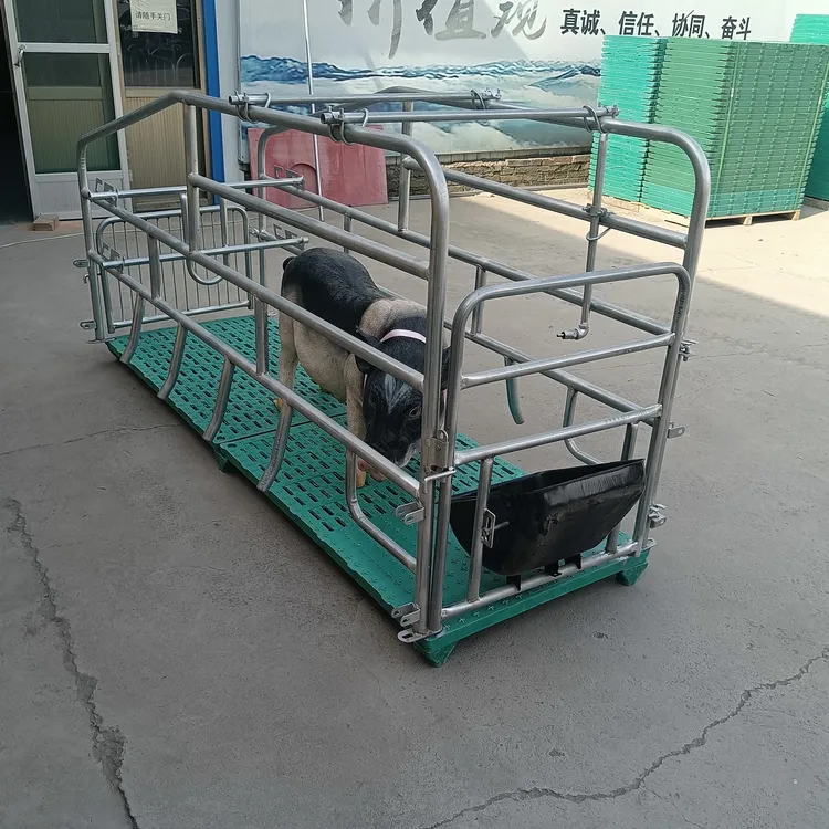 单体母猪床带板定位栏床简易母猪产床加铺漏粪板