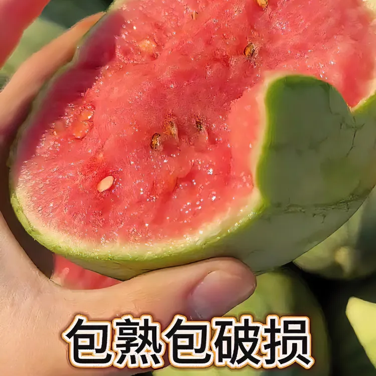 新鲜手撕西瓜小糖丸红瓤薄皮当季新鲜水果