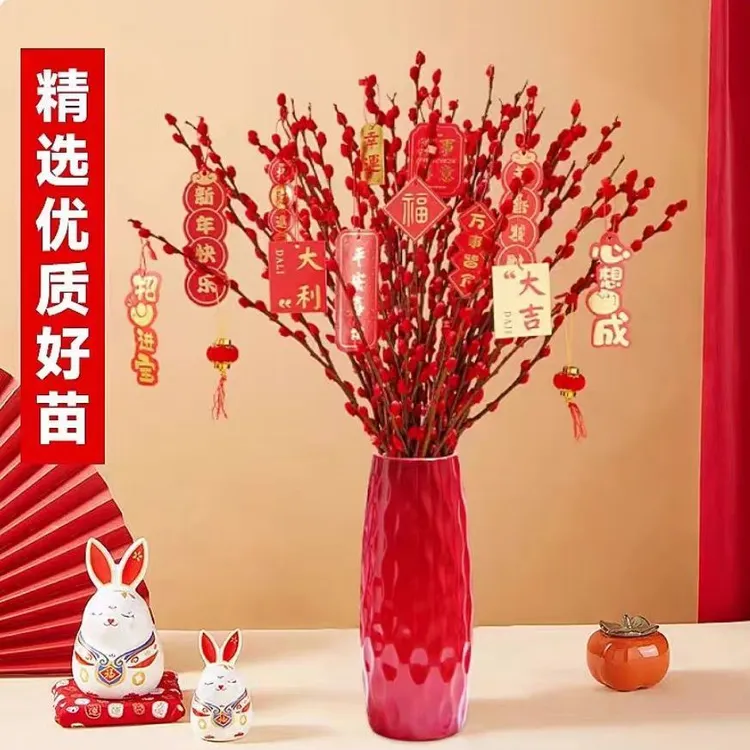真花花卉室内红火银柳客厅冬季装饰年宵招财鲜枝干花基地直销植物