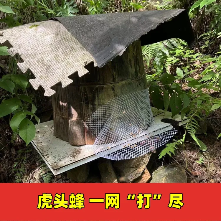 隔断网防止蜜蜂飞逃养蜂工具中蜂天敌防护网马蜂虎头蜂飞蛾壁虎