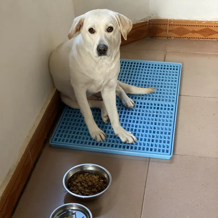 伊贝尔大狗厕所阿拉斯狗训练大型犬冲水防踩屎垫板尿盆拉屎猫砂垫