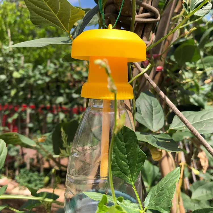 果实蝇诱捕器盖头配果蝇引诱剂使用瓜果实蝇信息素针锋诱虫器