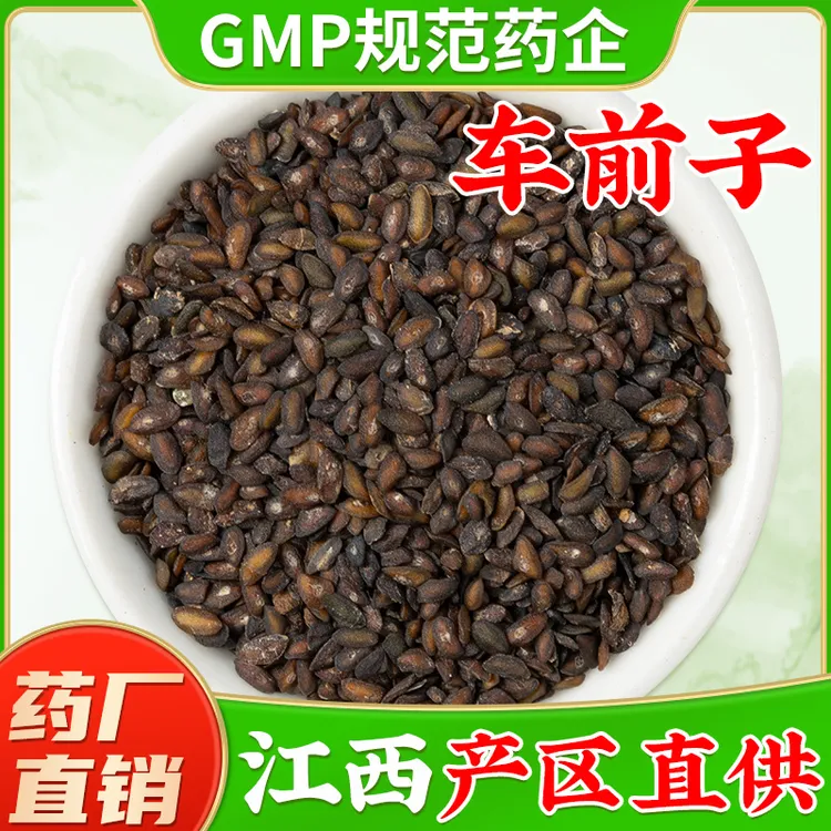 野生车前子中药材正品旗舰店 车前子籽车前子茶车前子泡水喝