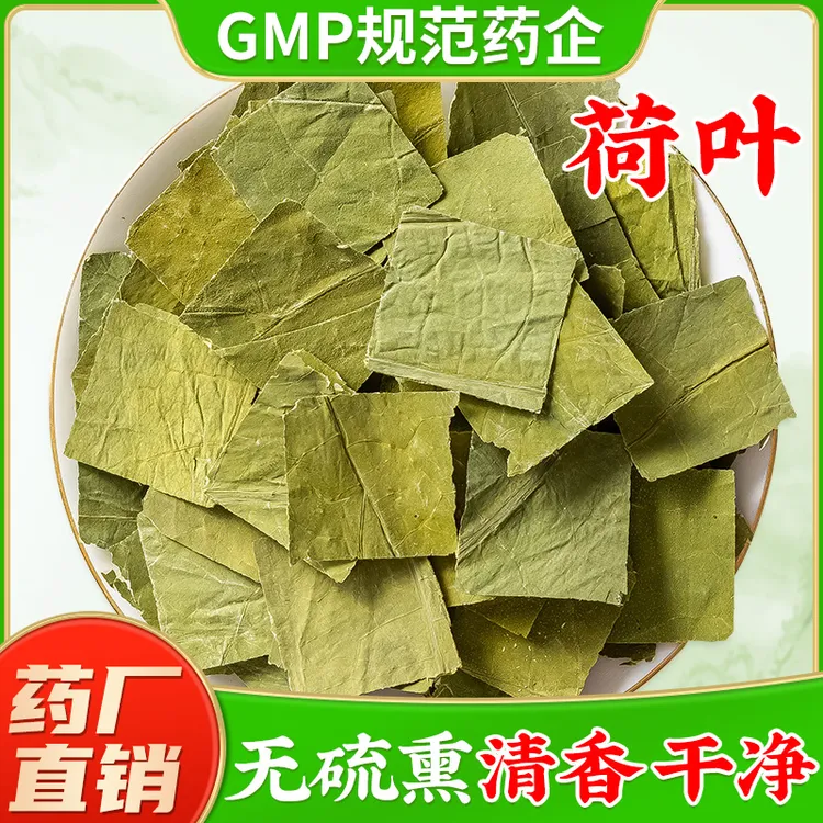 新货荷叶片正品 野生新鲜荷叶干可配荷叶茶荷叶陈皮山楂茶