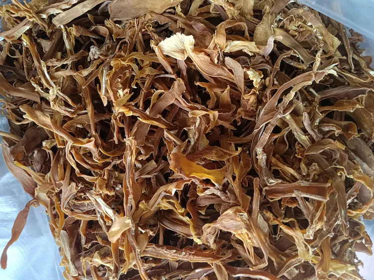 新鲜晒干，广宁大竹笋干500g包邮