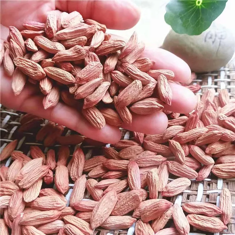 2024新山东新瘪花生米小花生小瘪子小粒小花生米农家甘甜零食新货