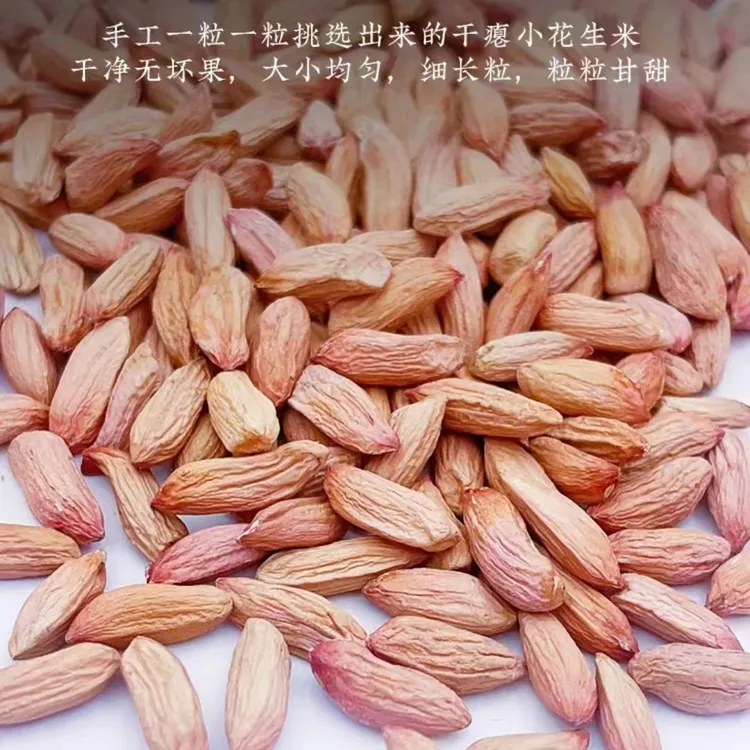 山东瘪花生2025年新米小瘪子花生米低油甘甜秕子生花生农家手工选