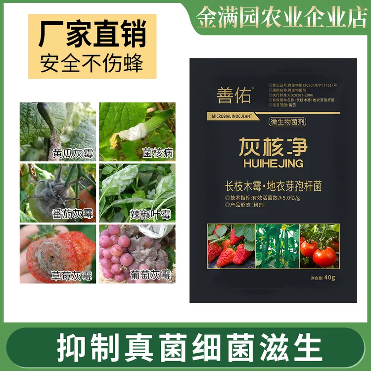  灰核净顽固灰霉叶霉菌核病专用大棚番茄黄瓜草莓西红柿辣椒葡萄