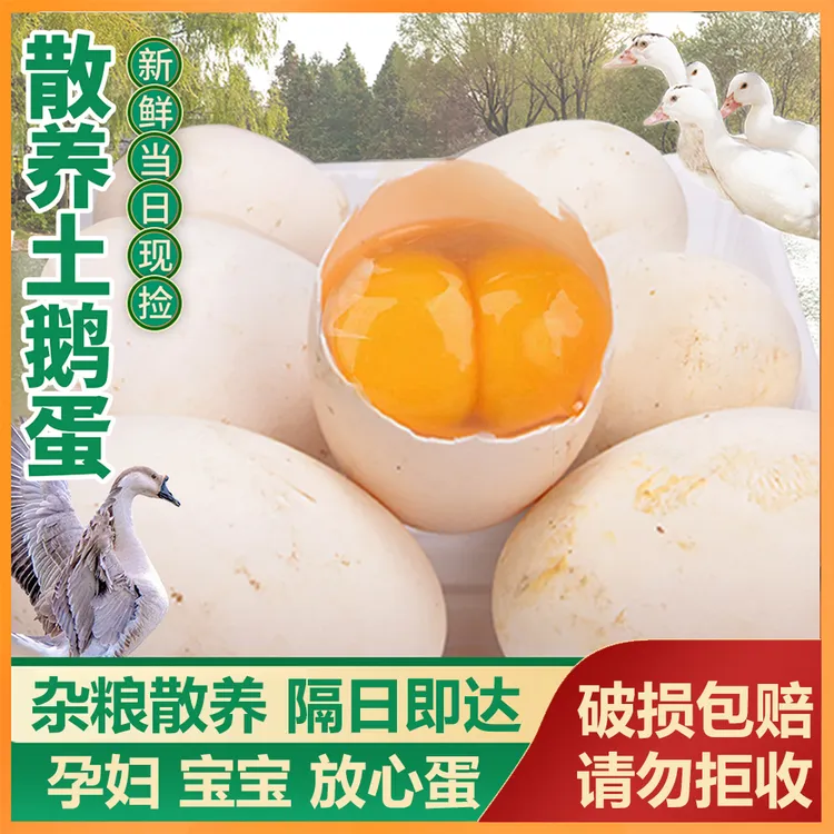 农家散养3年老鹅蛋12枚122-150g/个新鲜营养土鹅蛋大鹅蛋孕妇囤货