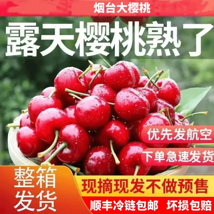 顺丰京东包邮【美早】自家果园正宗烟台大樱桃3斤-5斤包邮