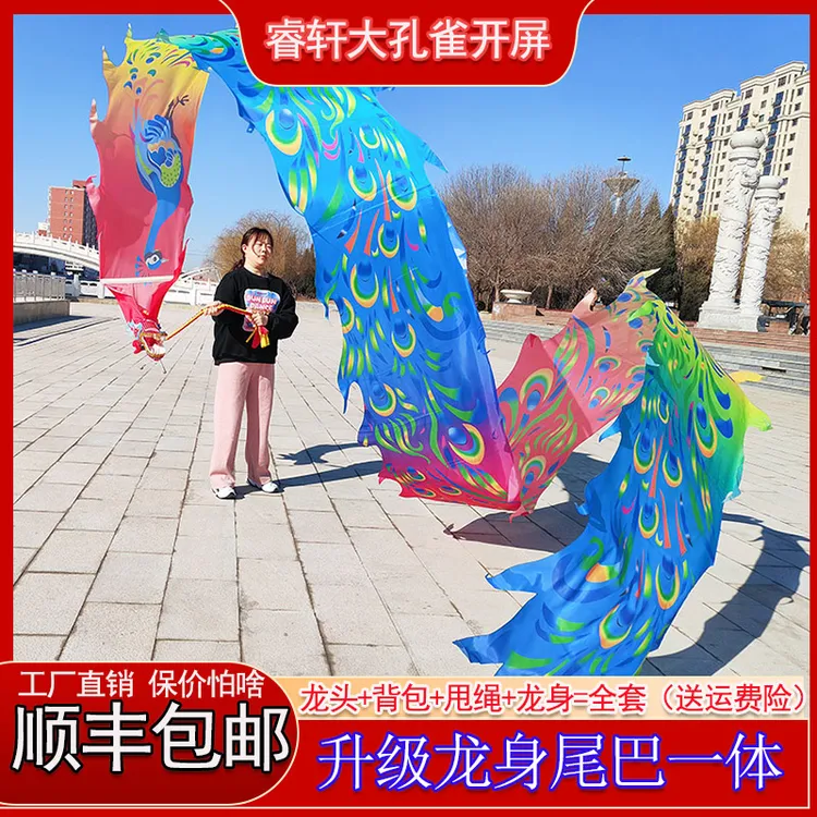 广场彩带单人舞龙新款大凤凰彩绸中老年表演舞龙道具