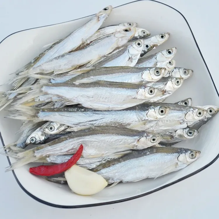 小小参条又名刁子鱼6-10cm