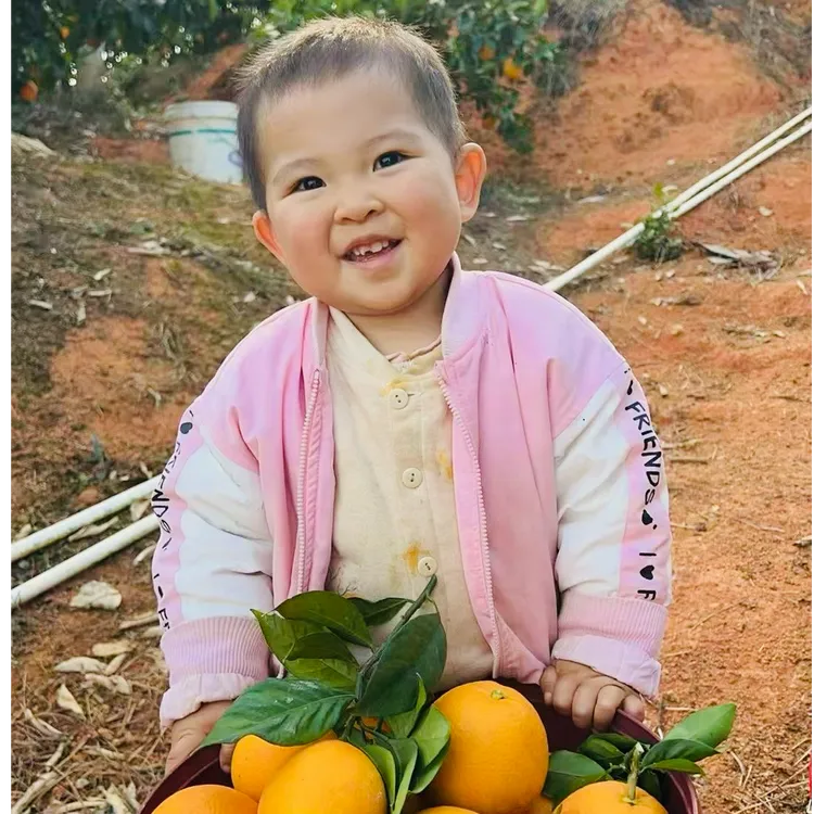 赣南脐橙 寻乌产区农家果 现摘现发 原产地直发