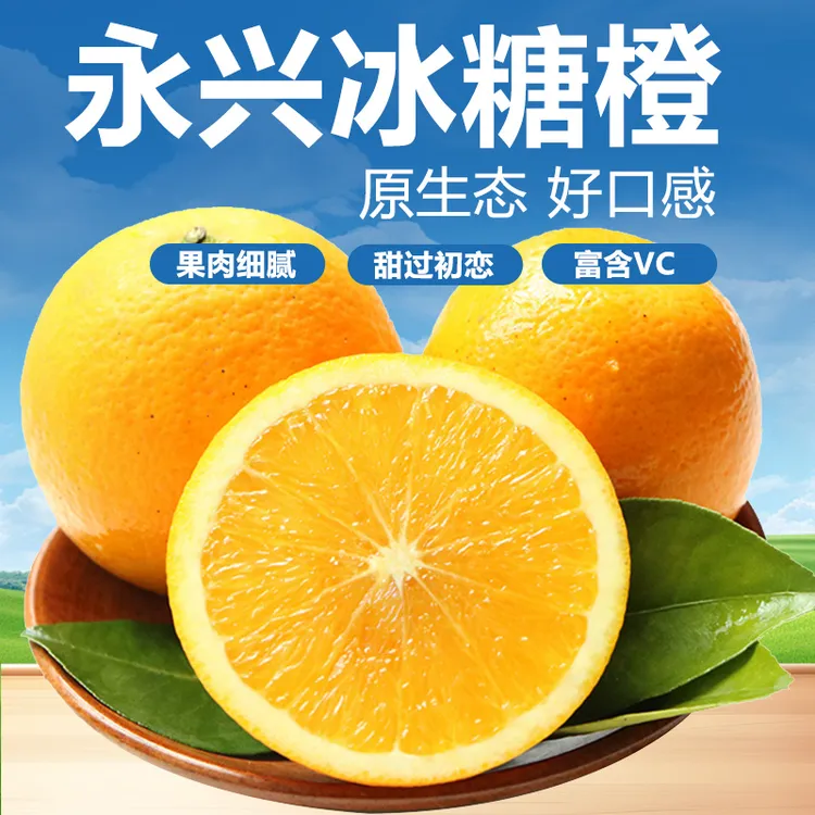 正宗永兴冰糖橙 超甜橙子 皮薄肉脆 当季水果 果园现摘  包邮