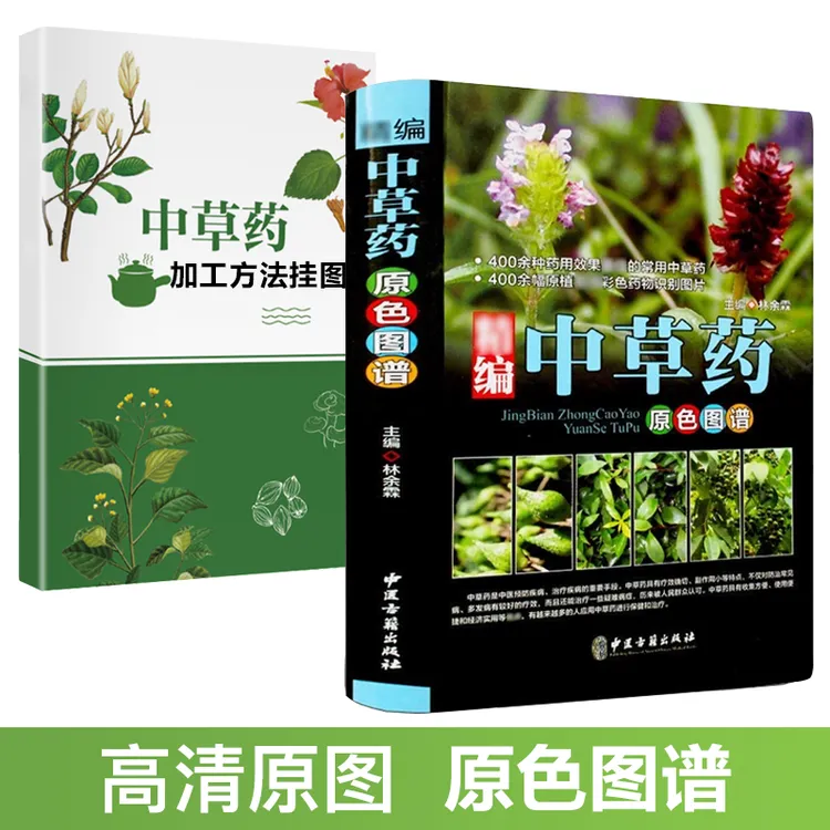 预防百病,认识中草学中医,复刻1000+本草汤谱教程#中草药全图鉴