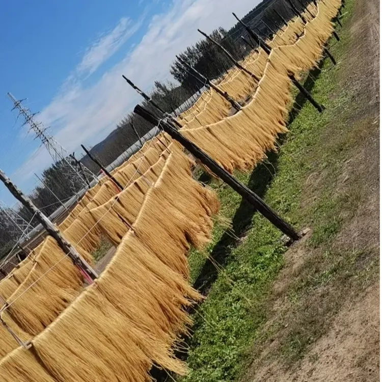 沂蒙山特产红薯粉条传统工艺新配方无胶1号泰波粉条
