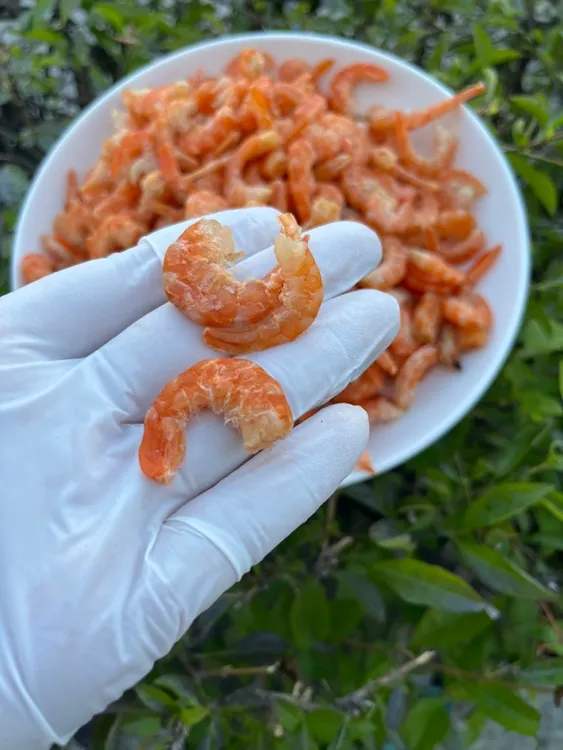 虾干虾仁干开洋干货干虾仁海米干货新鲜虾米虾米金钩