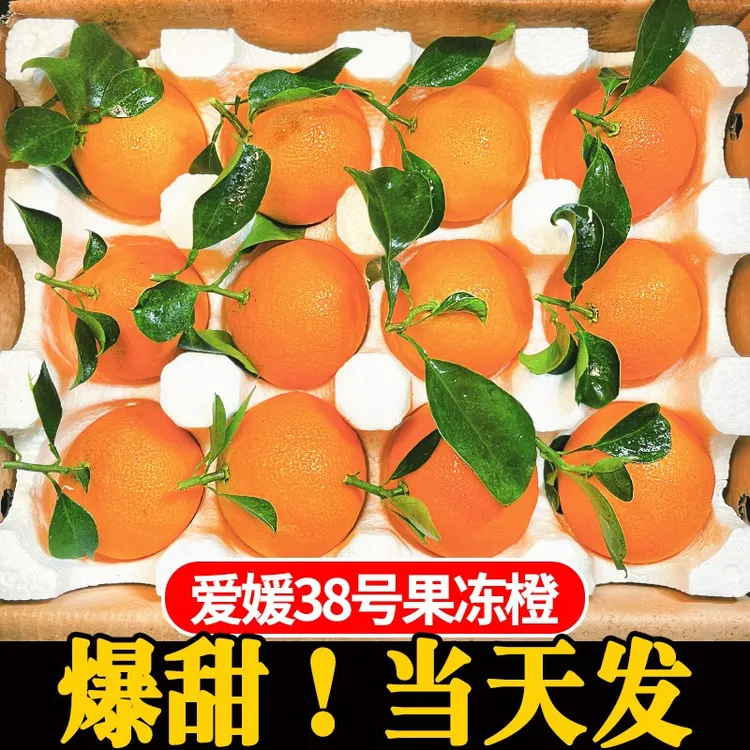 四川正宗爱媛38号果冻橙手动榨汁机应季新鲜采摘水果产地直发