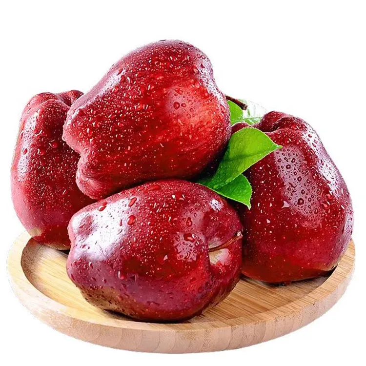 秦人礼甘肃高山花牛苹果脆粉香甜苹果中果带箱十斤24个左右包邮