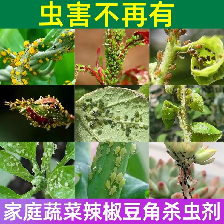 蔬菜杀虫专用叶面肥辣椒白菜杀虫药月季花卉腻虫蚜虫红蜘蛛叶面肥