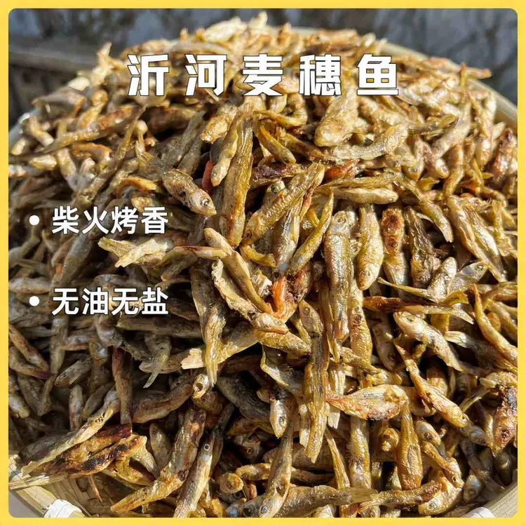 正宗沂河锅烤鱼麦穗鱼辣椒炒苏鲁特产小鱼美味农村家乡美味干烤鱼