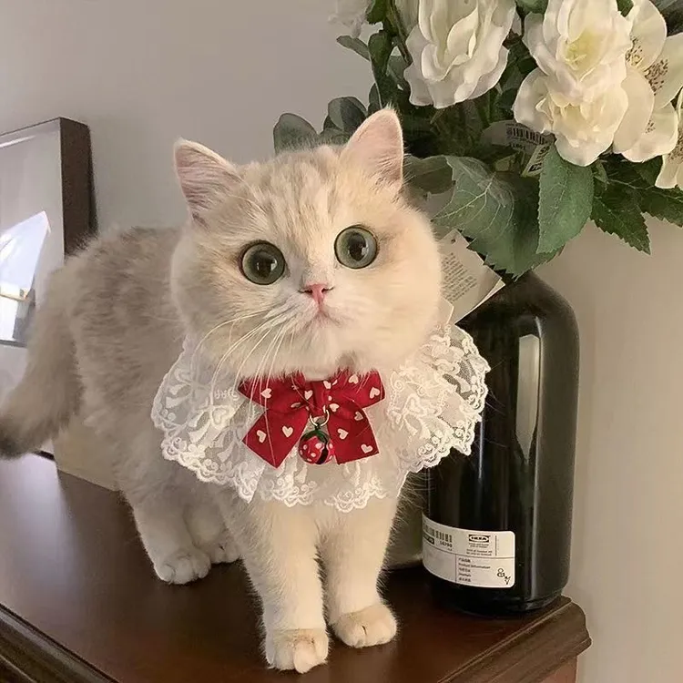 猫咪围脖夏天蕾丝项圈装饰狗狗围巾宠物口水蝴蝶结可爱铃铛围兜