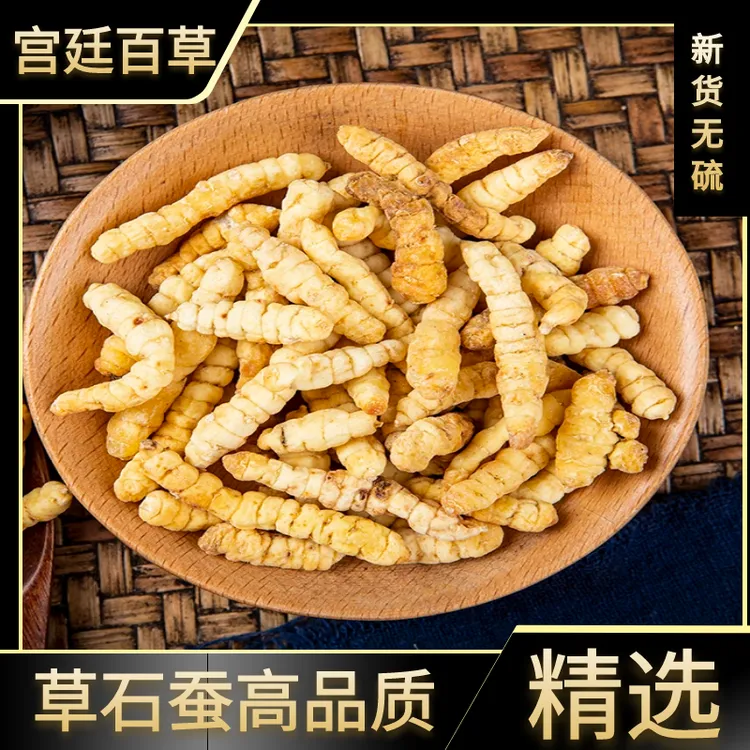 虫草参正品草石蚕干土冬虫草地蚕白虫草泽兰根叶菜250g-500g包邮