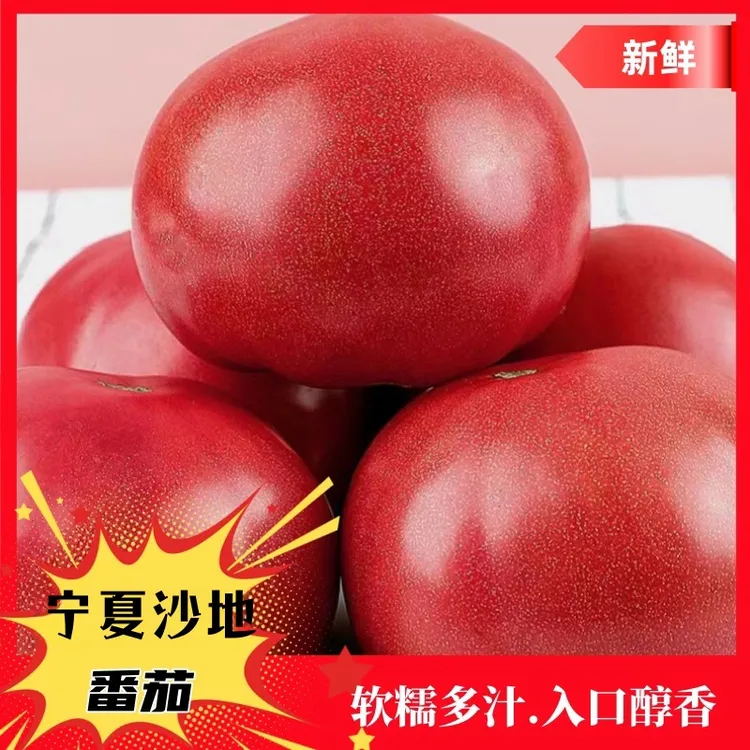 宁夏沙地西红柿生吃宁夏产地直销正宗纯天然沙瓤水果农家当季薄皮