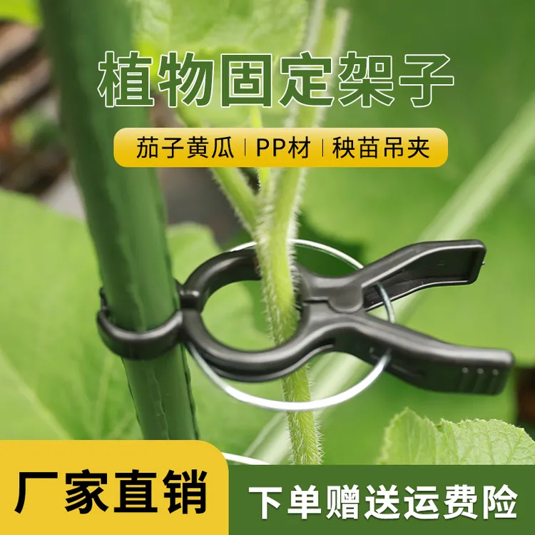 西红柿黄瓜吊秧夹子爬藤植物番茄固定花枝铁线莲小夹子种菜支撑架