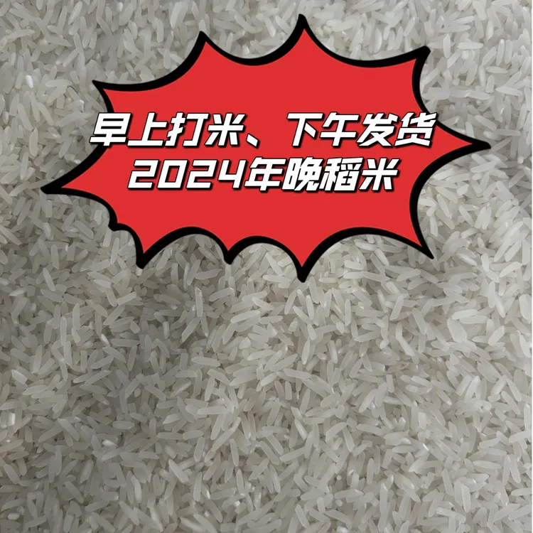 2024晚稻谷新米广东省广州市从化农家丝苗米，早上磨米，下午发货了