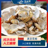 【王百万海鲜】杂色花蛤350克/12袋/新疆包邮只发新疆