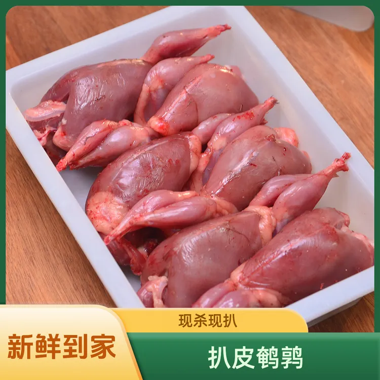 【冷鲜鹌鹑】只发鲜肉现杀去皮放血老母鹌鹑新鲜食材烧烤油炸炖煮卤