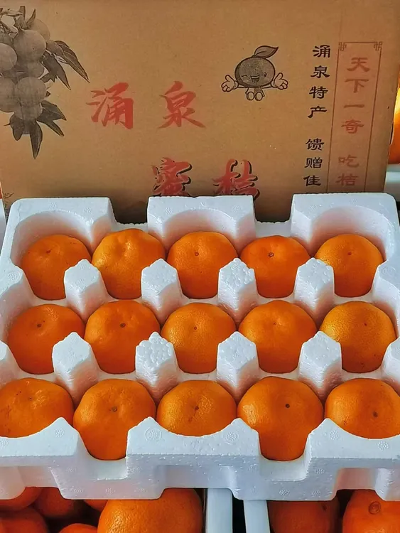 包邮临海高山正宗涌泉蜜桔无核蜜橘新鲜水果无打蜡无催熟
