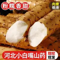 产地直发新鲜5斤河北小白嘴铁棍淮山药粉糯香甜垆土种植带土发货