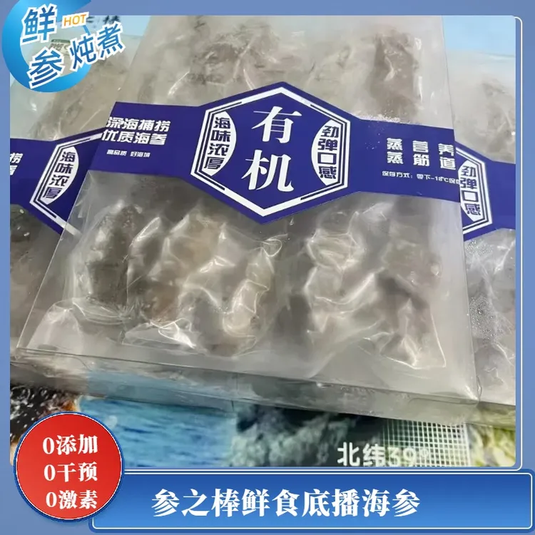 参之棒有机鲜食底播海参500克即食海参鲜参炖煮送礼滋补养生推荐