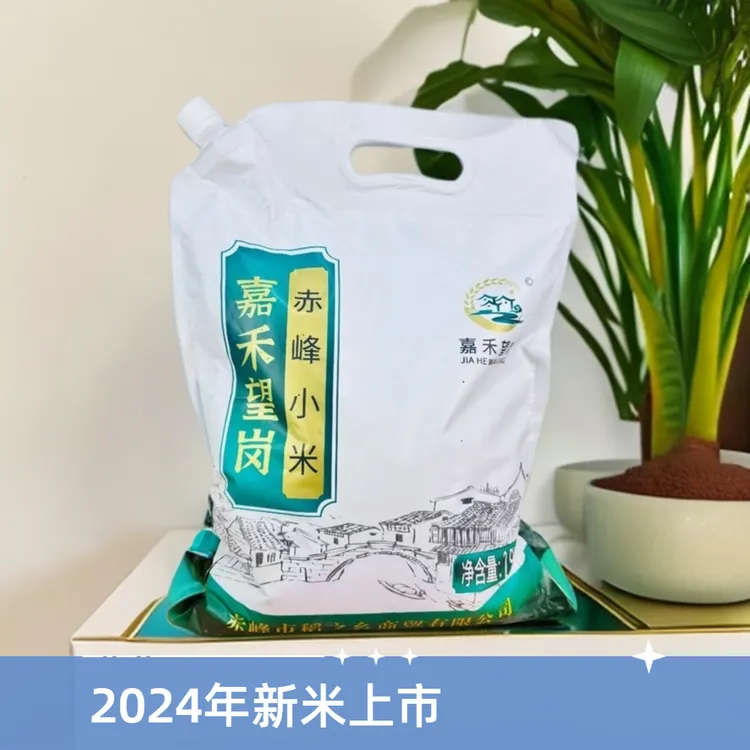 嘉禾望岗【自营】 24年新米赤峰金苗K1小米粥月子米杂粮3斤