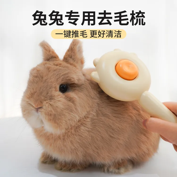 兔子梳毛器兔毛梳物侏儒兔垂耳兔龙猫梳毛器去浮毛按摩清洁用品