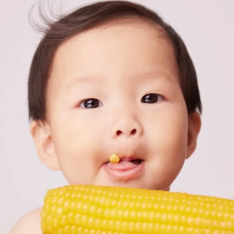 美鑫专属【锦绣黑土】非转基因头茬0️⃣添加东北黄糯鲜玉米10根装